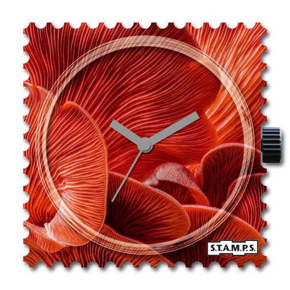 106477_funghiCJEuaYy3jhIne