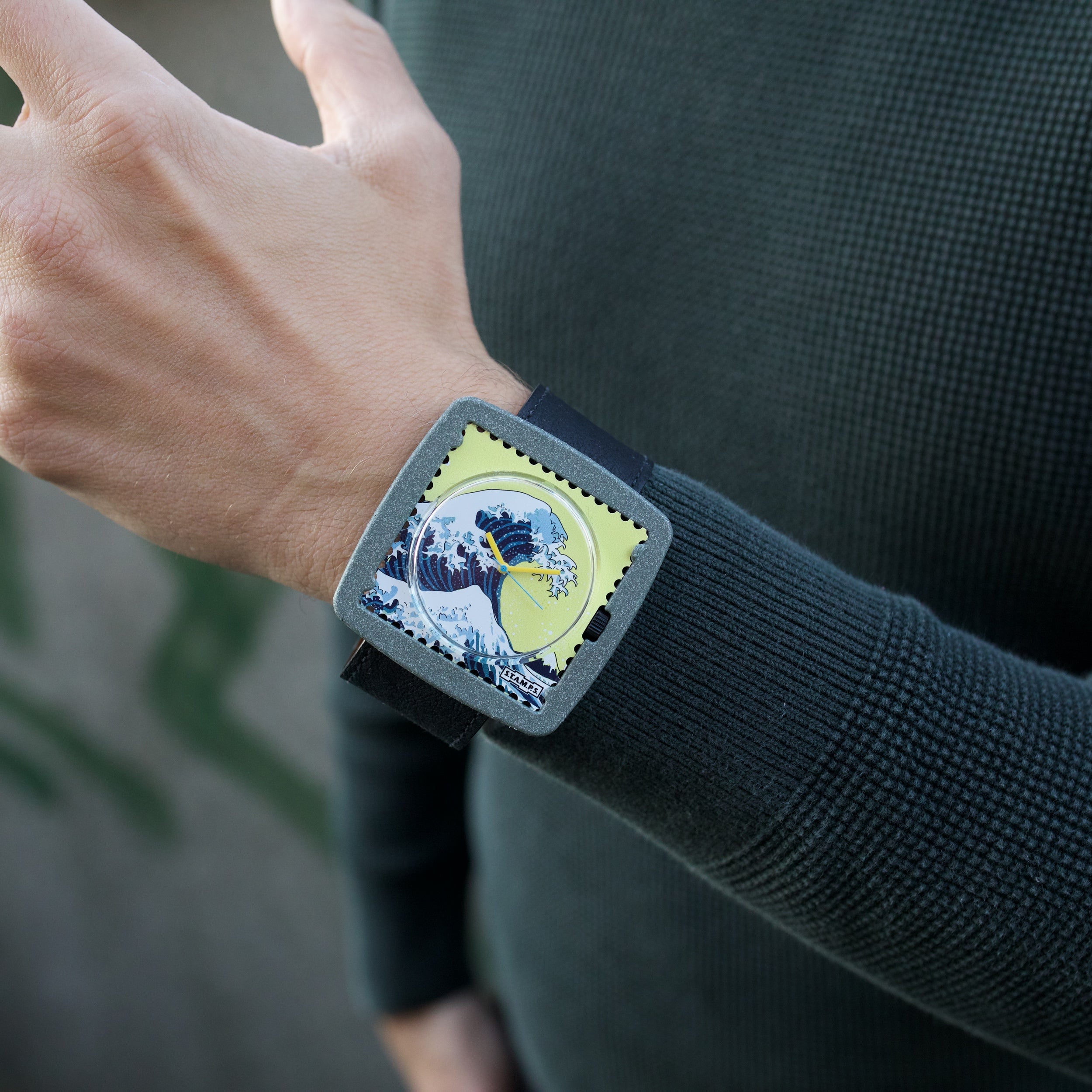 cool-jack-tetra_grey