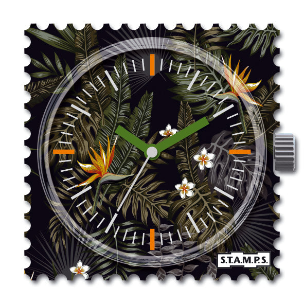 105599_Night-Zoo