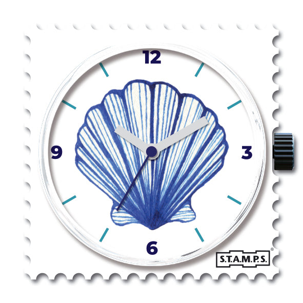 105911_Shell