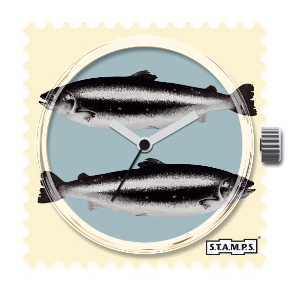 106084_Herring