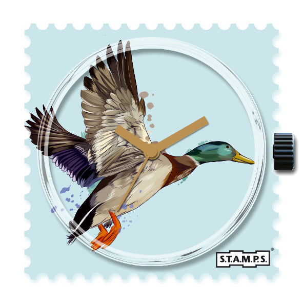 106094_Wild-Duck6uqx7L748md5U