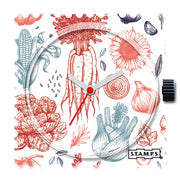 106095_Fennel