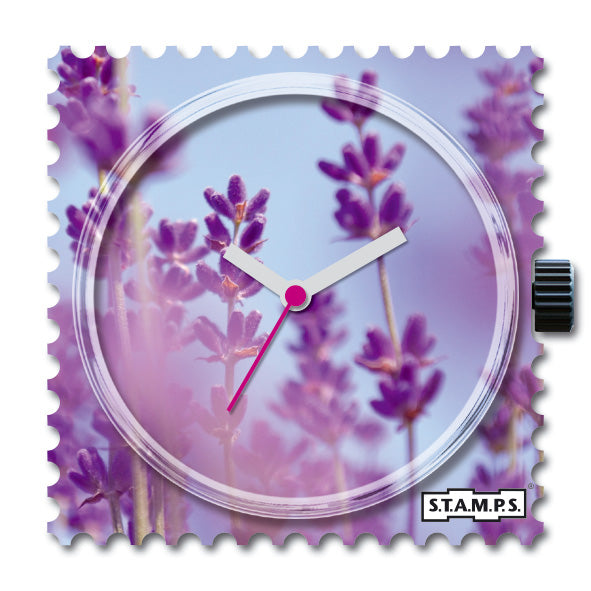 106230_Lavanda