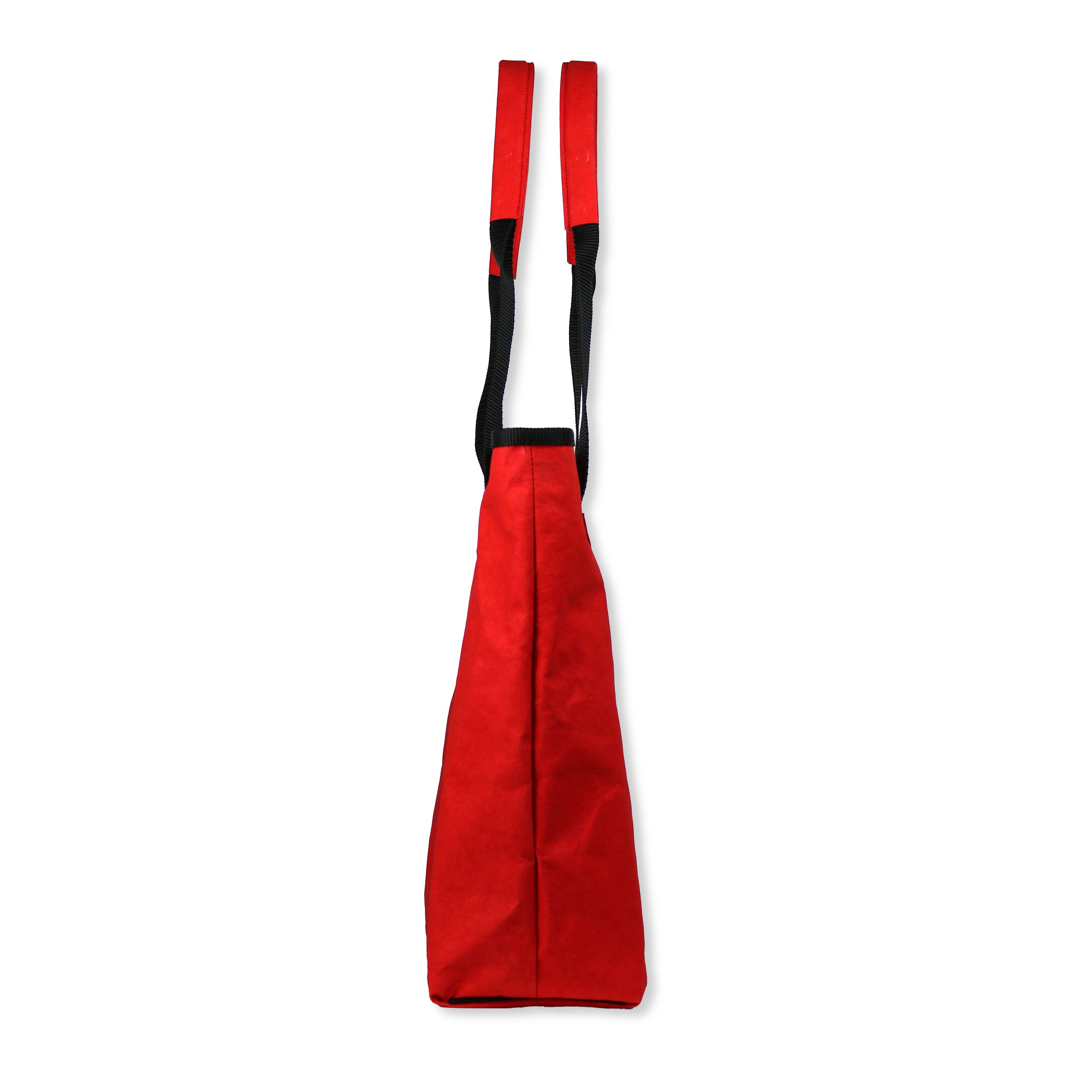 106402_1720_Lone_Chilli_Pepper_02