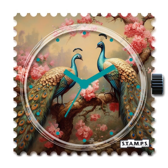 106513_Peacock