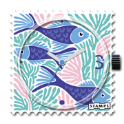Rainbow fish