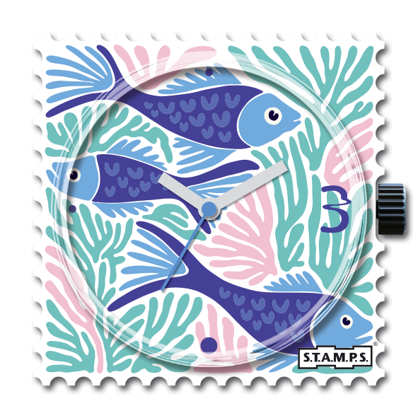 Rainbow fish