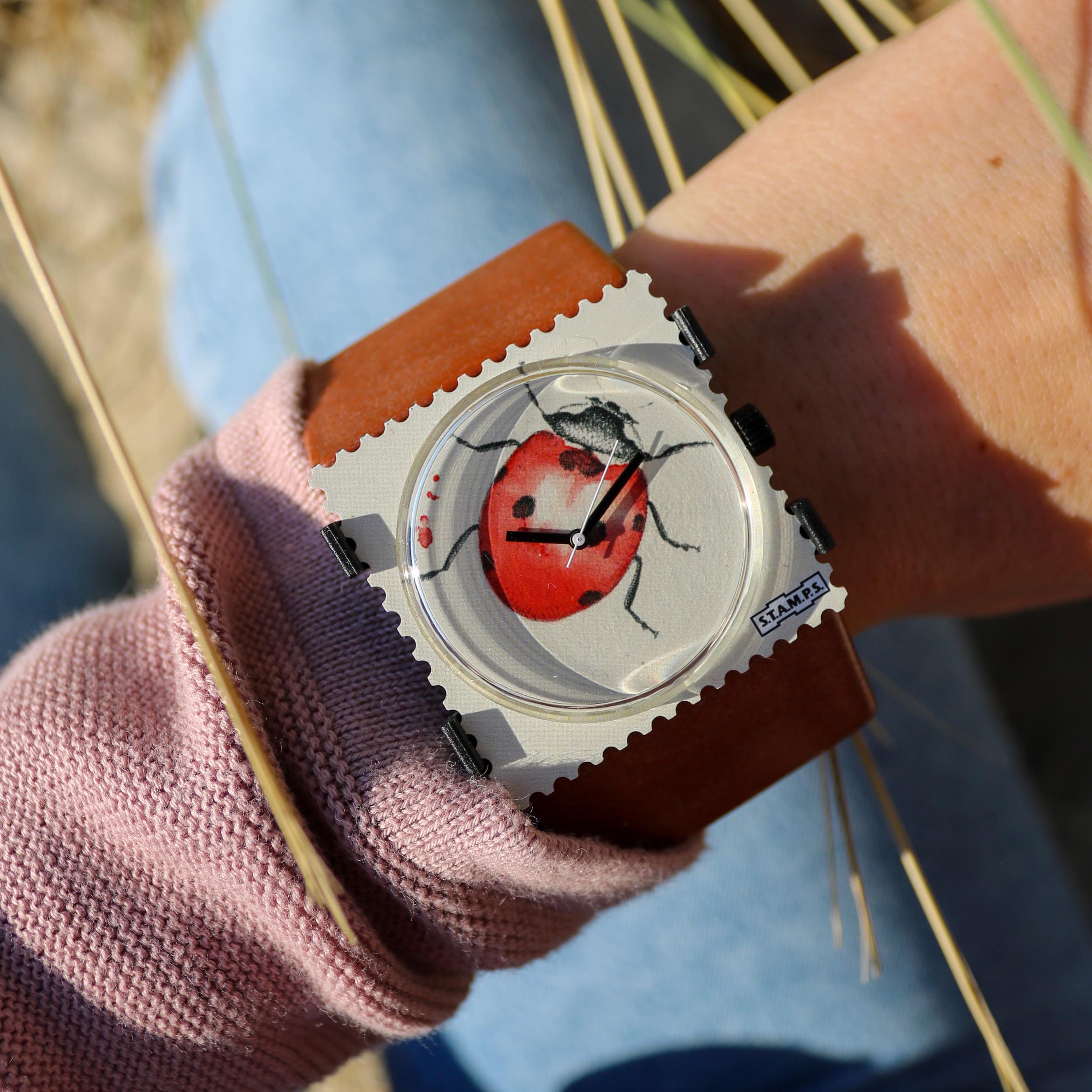 Belta_Tetra_Russet_Ladybird