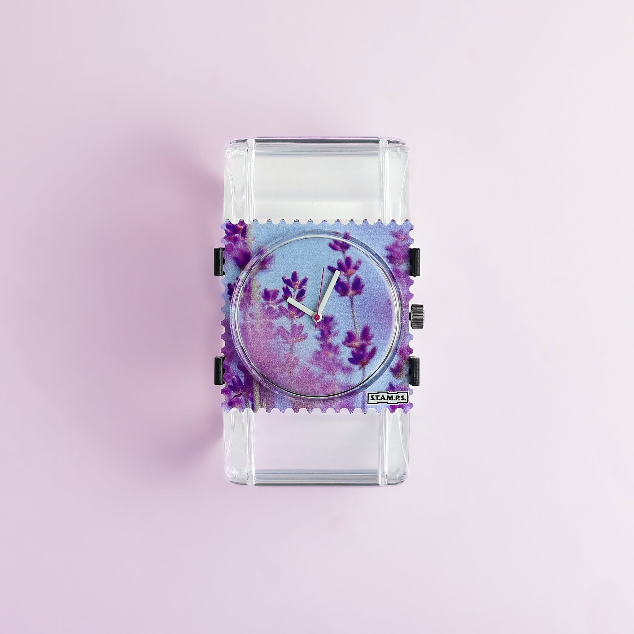 Belta Transparent