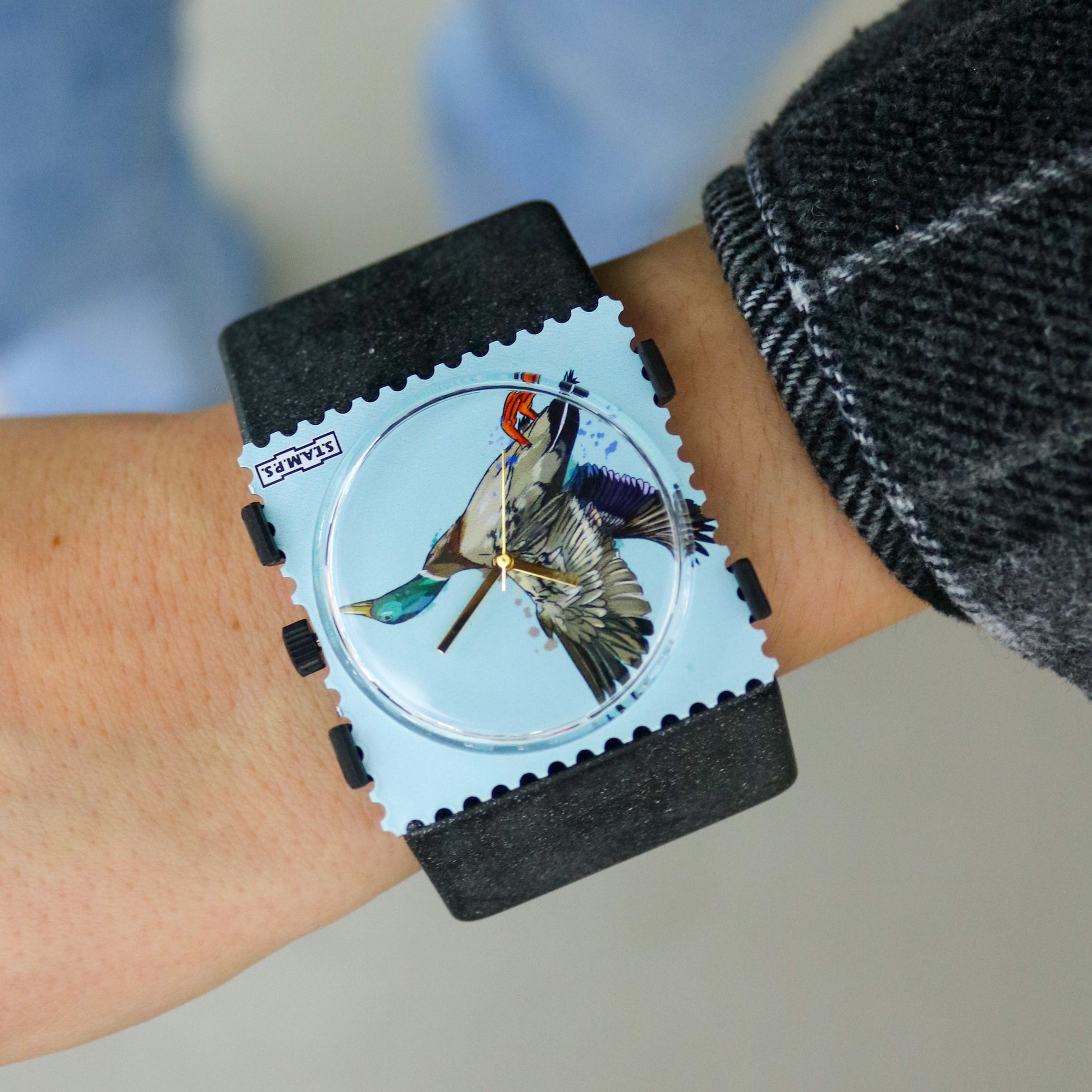 Belta_tetra_black_Wild_duck