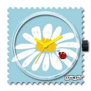 Daisy_105764