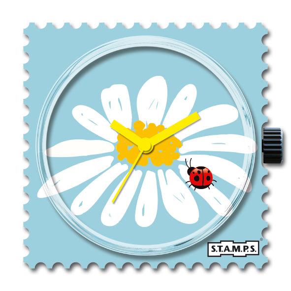Daisy_105764
