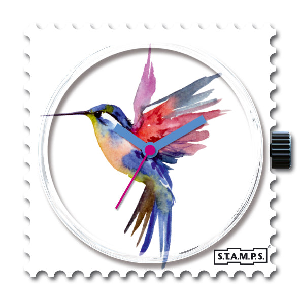 Humming_Bird_105765
