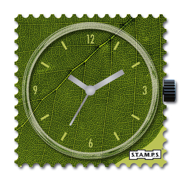 Leafy_105997_SB