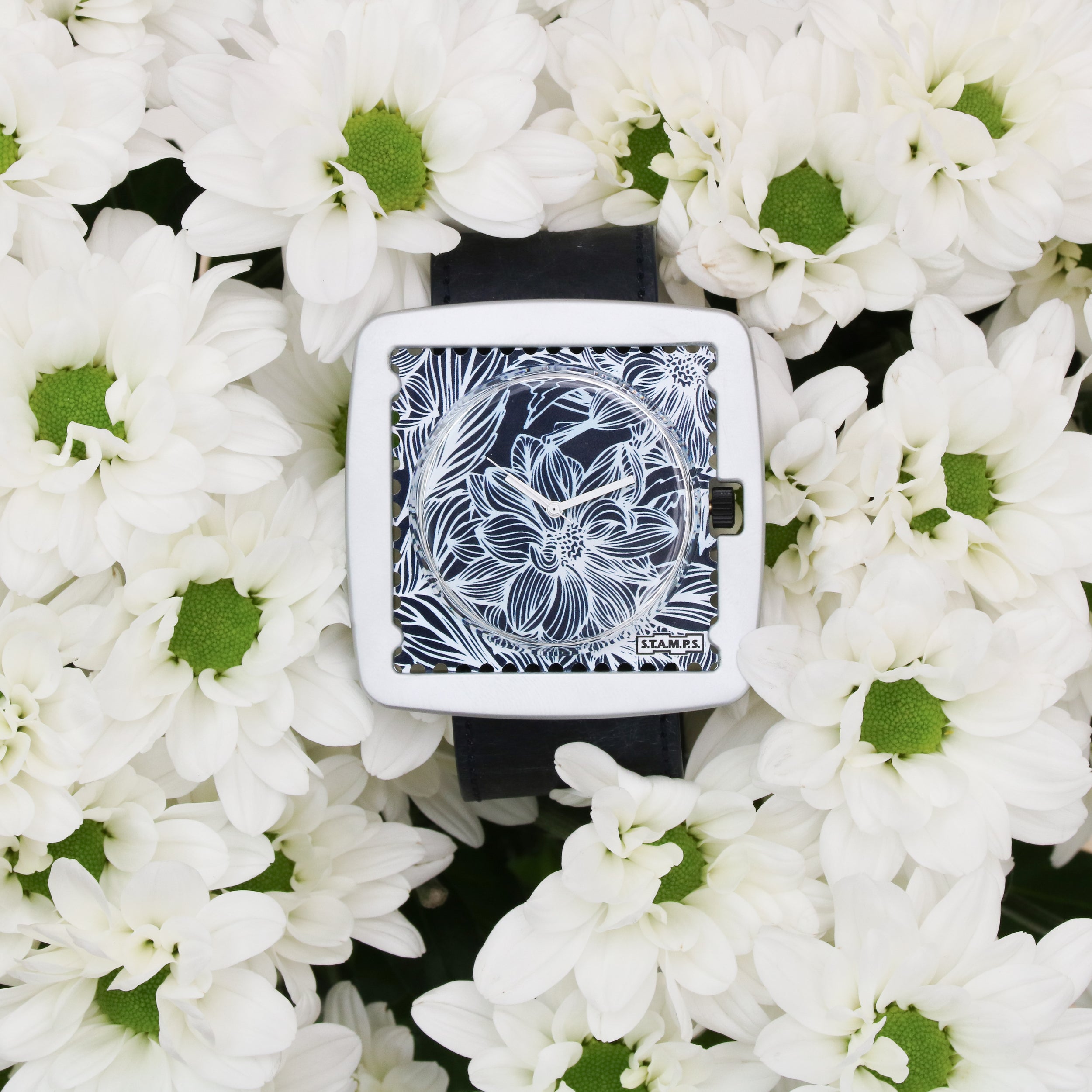 Nightflower