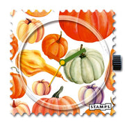 Pumpkin_105537
