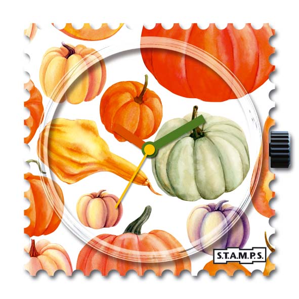 Pumpkin_105537