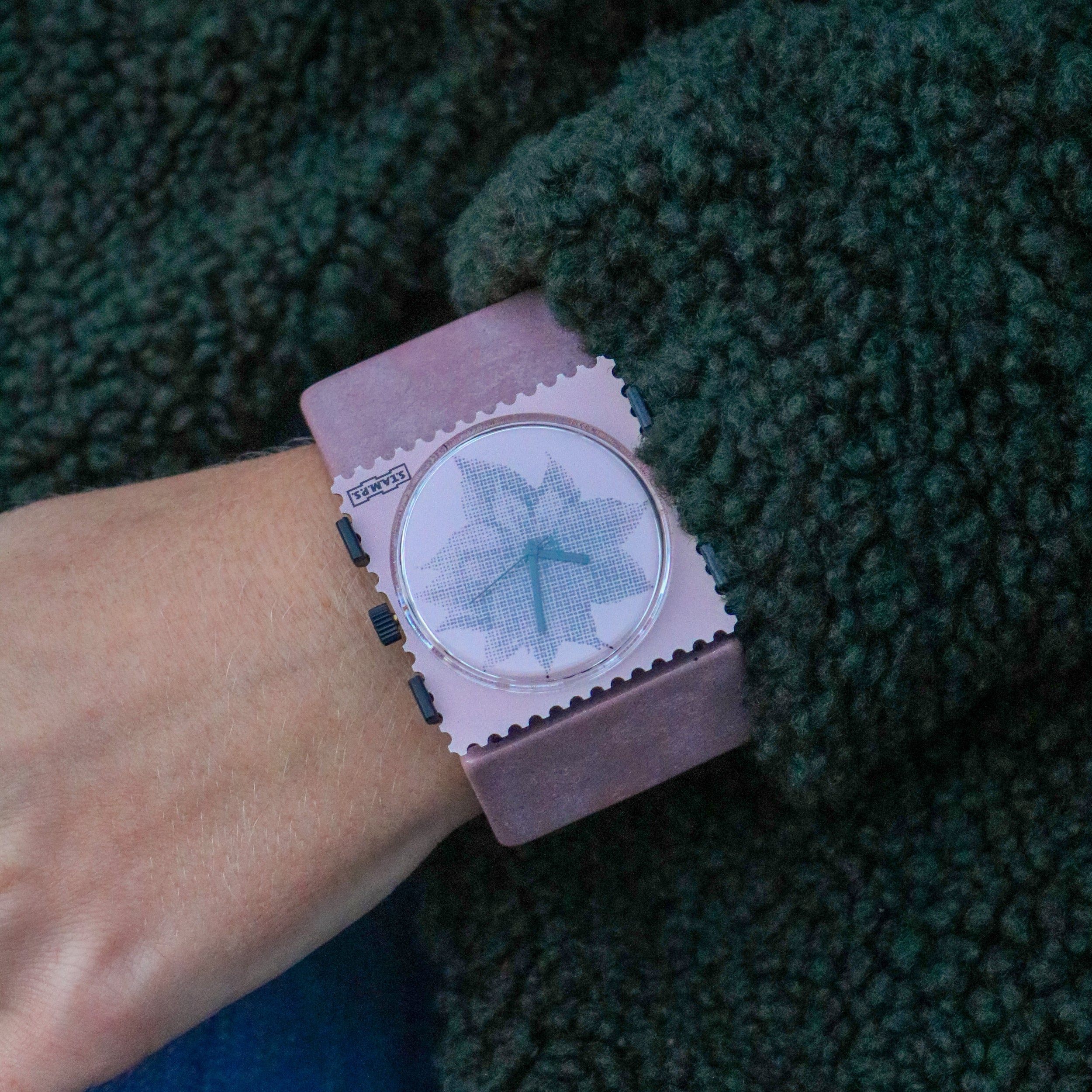 Rosy_Star_Belta_Tetra