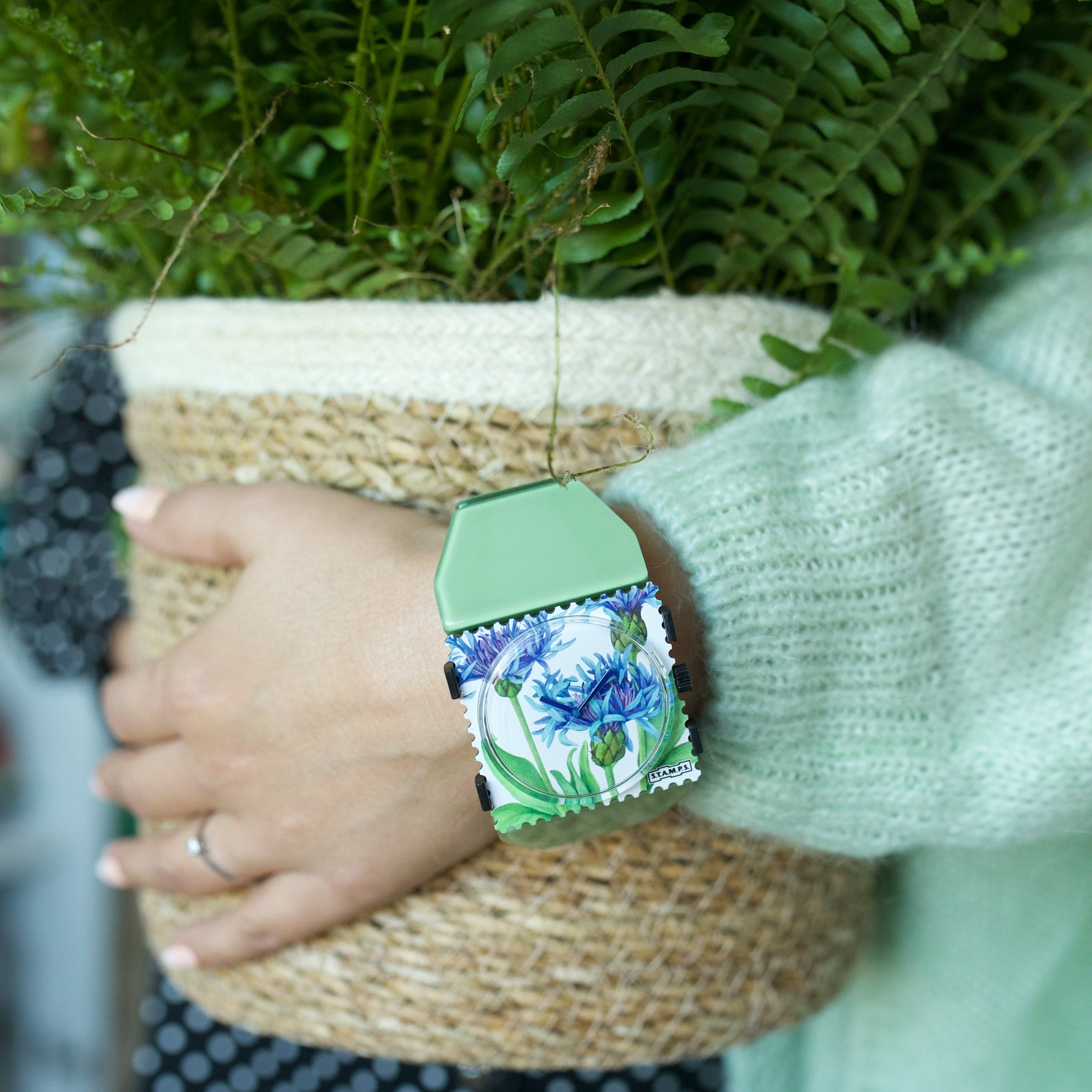 cornflower_belta_crystal_mint_green