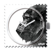 live_freeiPhmmTMWsHLGR