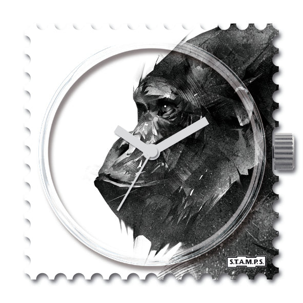 live_freeiPhmmTMWsHLGR